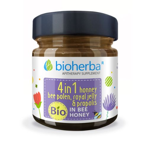 Včelí med 4v1 - med+propolis+mateřská kašička+pyl Bioherba 280g