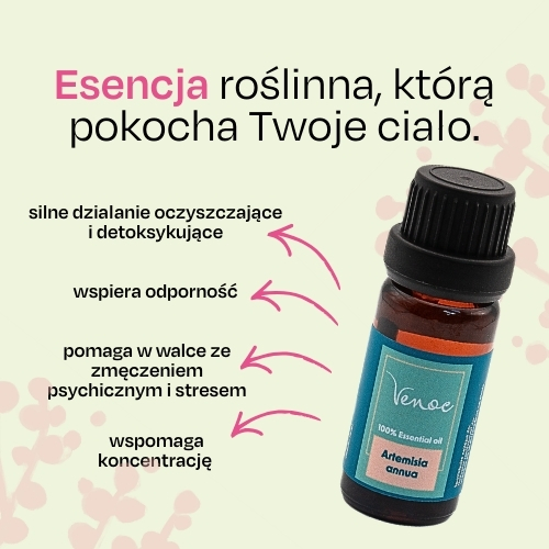Olejek eteryczny Bylica roczna Venoc 10 ml