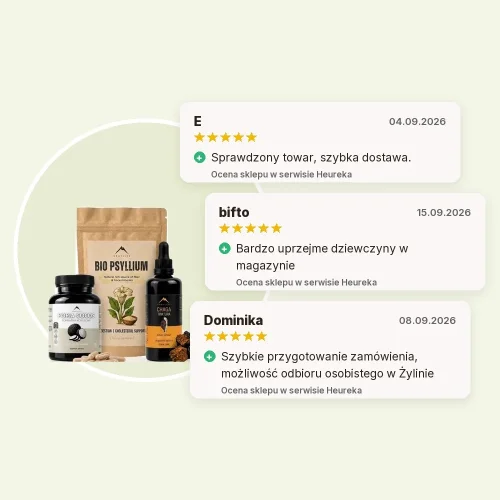 Wsparcie jelit - Poria cocos 90cps + Chaga nalewka 100ml + Psyllium BIO 150g Hrotlife