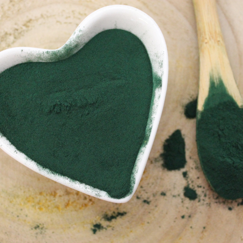 Chlorella zwyczajna - Chlorella vulgaris