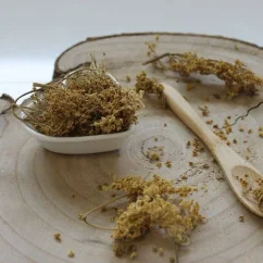 Alchemilka obyčajná -  vňať narezaná - Alchemilla vulgaris - Herba alchemillae