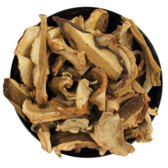 Hríb dubový sušený 1. trieda kvality - Boletus reticulatus 