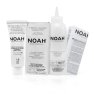 Krem koloryzujący do włosów czarny Noah 140ml