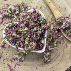 Ďatelina lúčna - kvet narezaný - Trifolium pratense - Flos trifolii rubri Ďatelina lúčna - kvet narezaný - Trifolium pratense - Flos trifolii rubri