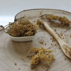 Lady's Mantle - cut herb - Alchemilla vulgaris - Herba alchemillae Emerosa