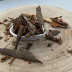 Škorica cejlónska - kôra celá - Cinnamomum verum - Cortex cinnamomi ceylanici