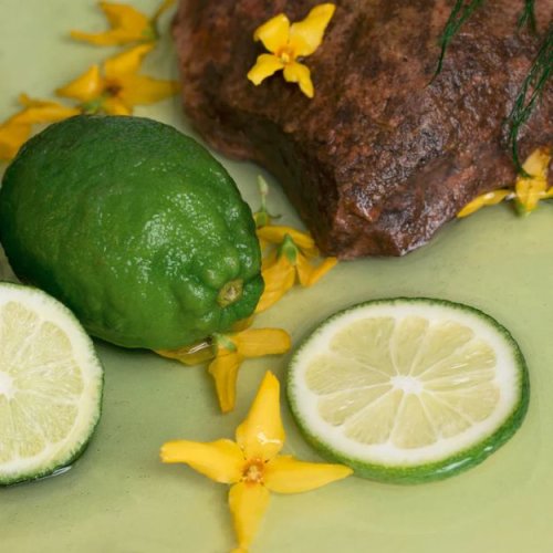 Přírodní šampon a tělové mýdlo 2v1 ATTITUDE Super leaves Essentials - Bergamot a Ylang 473ml