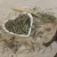 Pinus sylvestris - Folium pini silvestris