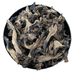 Trompetenpfifferling - Craterellus cornucopioides Emerosa