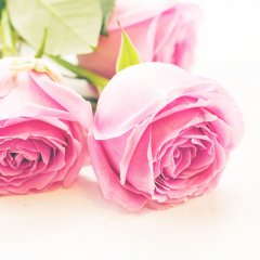 Glycerinové mýdlo Růžový květ čtverec Biofresh 70 g