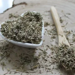 Mateřídouška úzkolistá - Thymus serpyllum Mateřídouška úzkolistá - Thymus serpyllum
