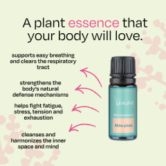 Spruce Venoc Essential Oil 10 ml