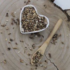 Archangelika lekárska narezaný koreň - Angelica archangelica