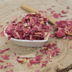 Pivonka lekárska - kvet narezaný - Paeonia officinalis - Flos paeoniae Pivonka lekárska - kvet narezaný - Paeonia officinalis - Flos paeoniae