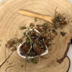 Vöröshere - teljes virág - Trifolium pratense - Flos trifolii rubri Emerosa