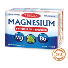 Magnézium + vitamín B6 a medovka TEREZIA 30 kapsúl Magnézium + vitamín B6 a medovka TEREZIA 30 kapsúl