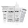 Krem koloryzujący do włosów w odcieniu kawowego brązu Noah 140 ml