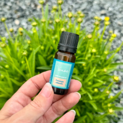Esenciálny olej Ylang Ylang Venoc 10ml