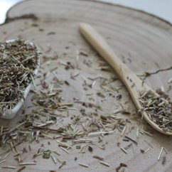 Lebiodka pospolita - Origanum vulgare Lebiodka pospolita - Origanum vulgare