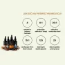 Starter pack nalewek - Chaga + Reishi + Cordyceps + Lion's mane nalewka 100ml Hrotlife