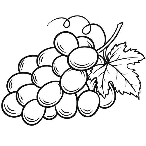 Olej z pestek winogron 100% Alteya Organics 50 ml