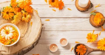 The benefits of natural, chemical-free shampoos: Why give nature a chance?