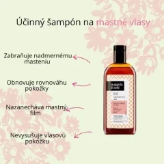Šampon pro kontrolu mazu na mastné vlasy Nuggela & Sulé 250ml