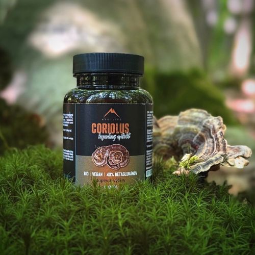 Coriolus Hrotlife 90 kapsúl