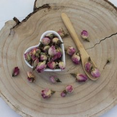 Pąki róży damasceńskiej - Rosa Damascena Pąki róży damasceńskiej - Rosa Damascena