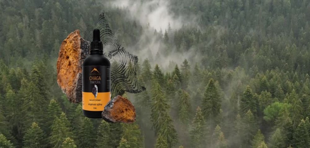 Čo je to Chaga a projekt Hrotlife?