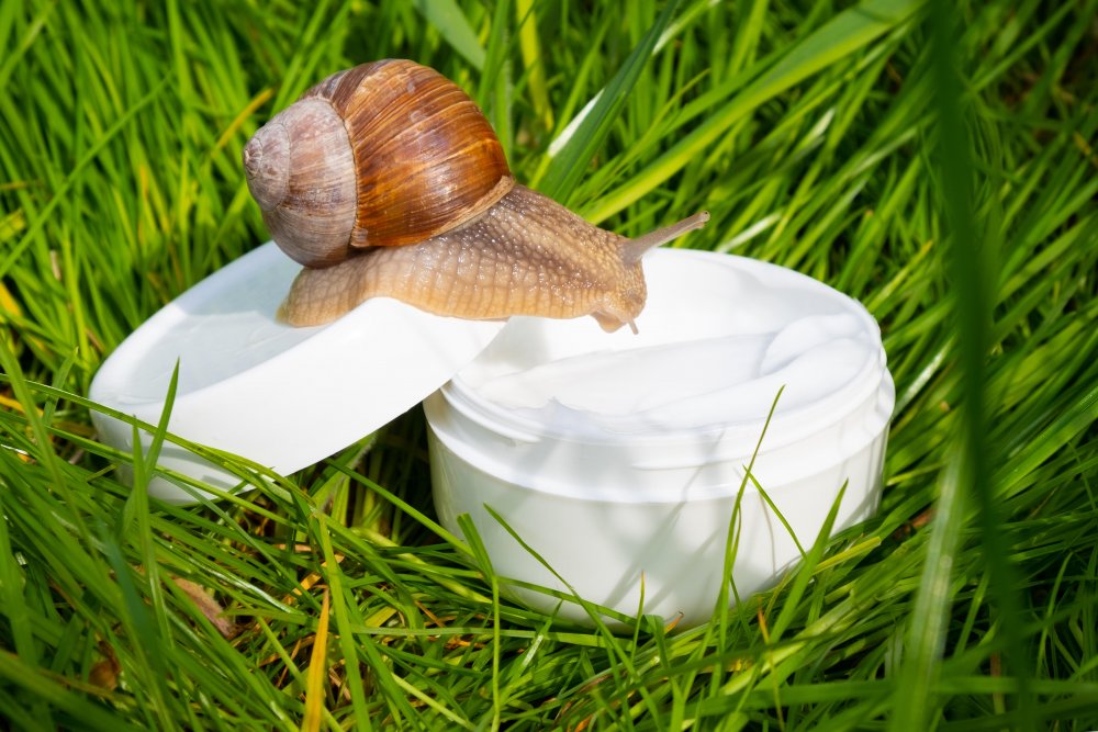 Snail slime in natural cosmetics: A modern secret for young and healthy skin