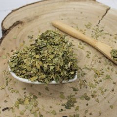 Mate-Strauch - yerba mate - geschnittenes Blatt - Ilex paraguariensis Emerosa