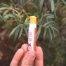 Balzam na pery Horúci bozk Wooden Spoon 4,3ml