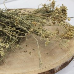 Rebríček kvet celý - Achillea millefolium flos tot. Rebríček kvet celý - Achillea millefolium flos tot.