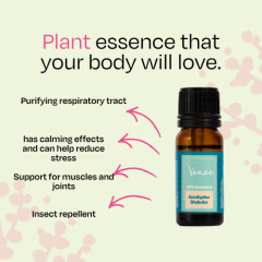 Eucalyptus Essential Oil Venoc 10ml