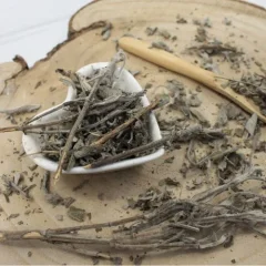 Šalvěj lékařská - nať nařezaná - Salvia officinalis - Herba salviae
