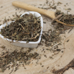 Pupočník ázijský - vňať narezaná - Centella asiatica - Herba hydrocotylae asiaticae Pupočník ázijský - vňať narezaná - Centella asiatica - Herba hydrocotylae asiaticae