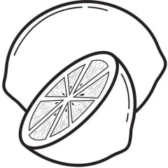 Zitronenöl 100% Alteya Organics 10 ml