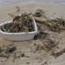 Mniszek lekarski - cięty liść - Taraxacum officinale - Folium taraxaci - Objem: 50 g