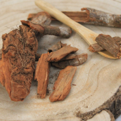 Chinovník lékařský - kůra celá - Cinchona officinalis 