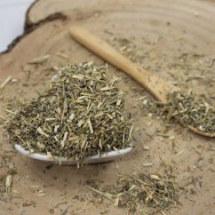Ścięty piołun - Artemisia absinthium Ścięty piołun - Artemisia absinthium