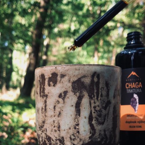 Chaga tinktúra Hrotlife 100ml