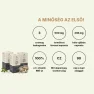 Immunitás gyerekeknek az egész őszre - Laskagomba C-vitaminnal 180cps Hrotlife