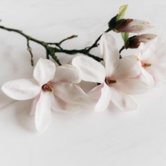 Krem pod prysznic Magnolia AROMA NATURAL 400 ml