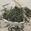 Zelený čaj Sencha-Theae green Sencha