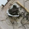 Mäta pieporná - Mentha piperita