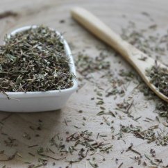 Gałązka tymianku, Tymianek pospolity - Thymus vulgaris Gałązka tymianku, Tymianek pospolity - Thymus vulgaris