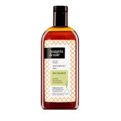 Šampón proti lupinám  Nuggela & Sulé 250ml