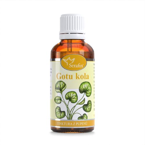 Gotu kola - nalewka z pąków roślinnych Serafin 50ml