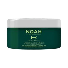 Maska dyscyplinująca do włosów Noah 200ml